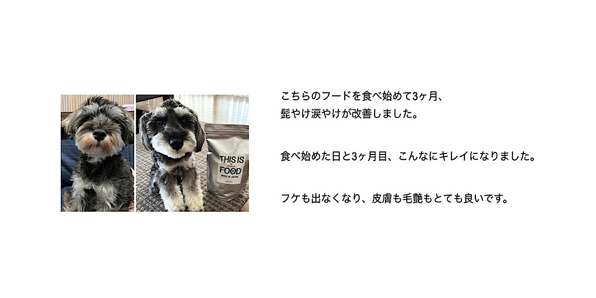 シュナウザー・テリア専門ドッグフードショップ【mmsu-ha DOG FOOD SHOP】